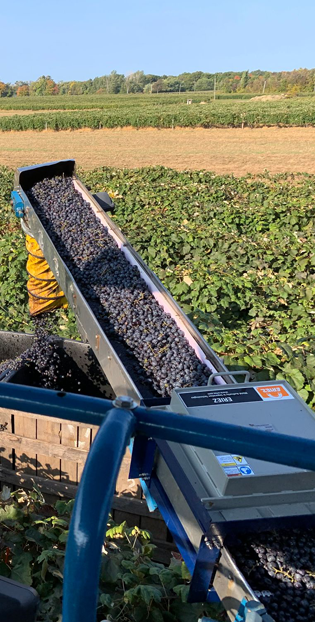 Grate magnet in use on a vineyard